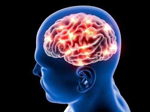 Ученые определили, от какой работы уменьшается мозг