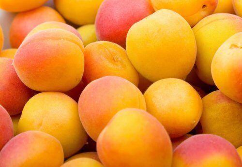 Учёные сообщили, что абрикосы стали самым полезным фруктом лета