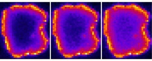 Учёные впервые получили изображение частицы, являющейся собственной античастицей