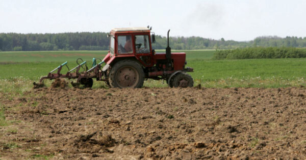 В Ставропольском крае аграрии просят помочь главу региона Владимира Владимирова