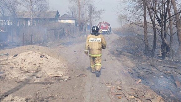 В МЧС ответили красноярскому губернатору, заявившему, что тушить лесные пожары «вредно»
