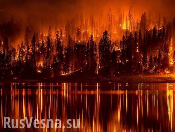 Генпрокуратура выявила целый комплекс преступных нарушений по пожарам в Сибири