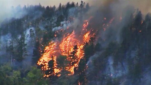 На Канарах из-за природного пожара эвакуировали 8000 человек