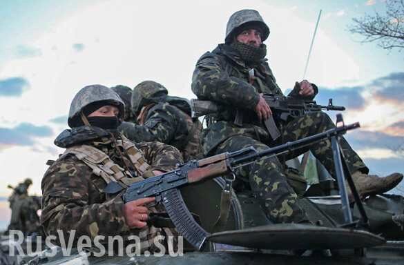 Несчастное Счастье: Прибывшая на Донбасс десантная бригада ВСУ творит жёсткий беспредел (ФОТО, ВИДЕО)
