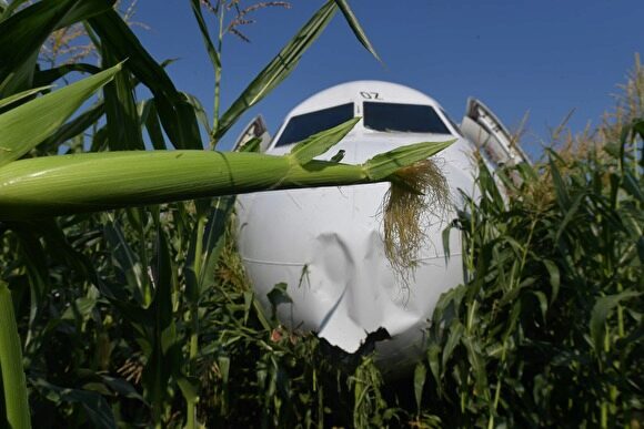 Пилот «Уральских авиалиний», посадивший лайнер в поле, взял на память початок кукурузы