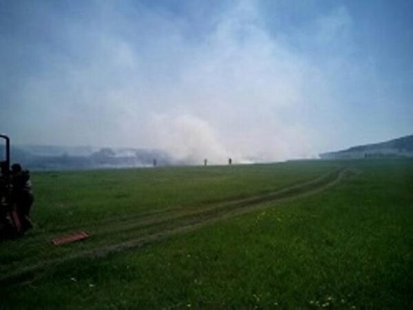 Площадь лесных пожаров в Иркутской области за сутки снизилась в 59 раз