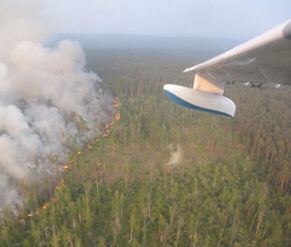 Площадь лесных пожаров в Красноярском крае выросла до 1 млн га. Дым дошел до Арктики