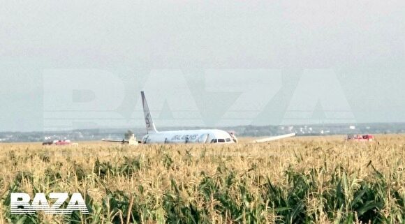 Самолет «Уральских авиалиний» совершил аварийную посадку в открытом поле в Подмосковье