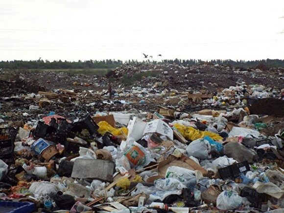 Свердловский министр ЖКХ назвал раздельный сбор мусора причиной свалок