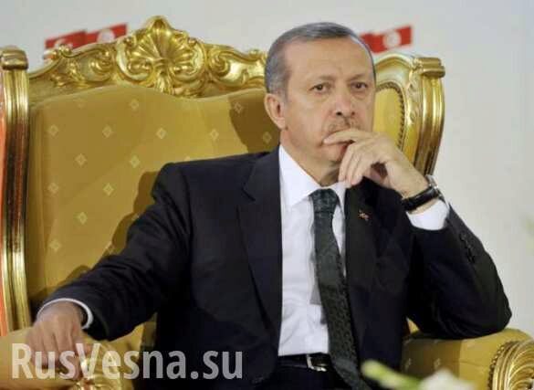Турецкий Vatan призвал Эрдогана признать воссоединение Крыма с Россией