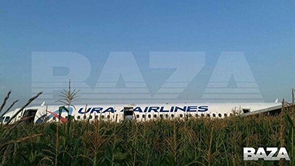 «Уральские авиалинии» сделали заявление по поводу вынужденной посадки самолета в поле