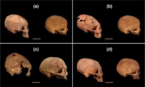 В Китае обнаружили останки древних людей с измененной формой черепа