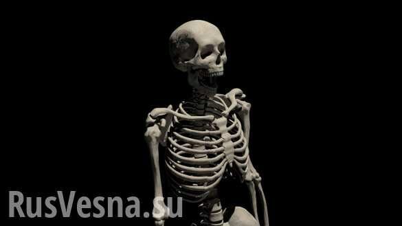 В московском детсаду нашли скелет