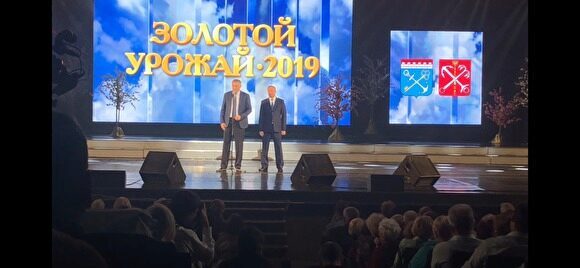Власти Петербурга собрали садоводов на концерт и позвали на выборы
