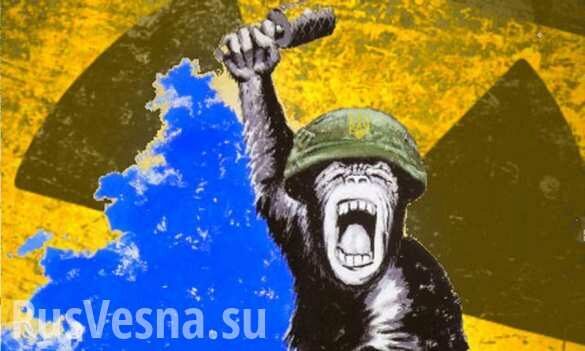 «Война с Россией неизбежна»: безумная стратегия Украины (ВИДЕО)