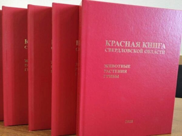 Вышло новое издание Красной книги Свердловской области