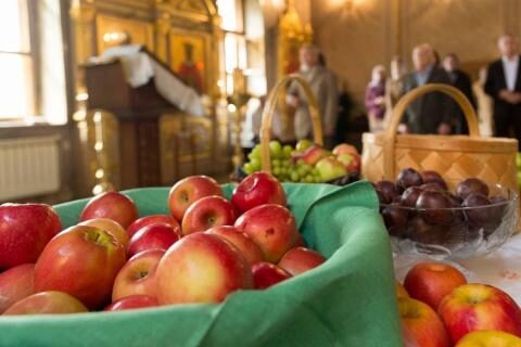 Яблочный Спас – народные традиции, обычаи и приметы праздника