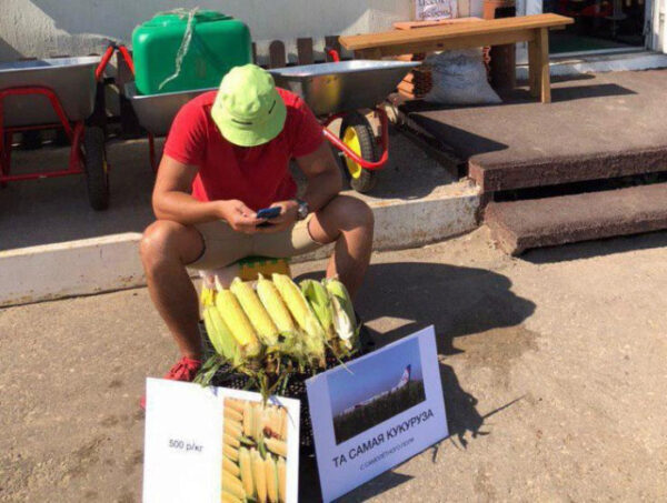 Житель Саратова продавал по 500 рублей «целебную» кукурузу с места жесткой посадки Airbus 