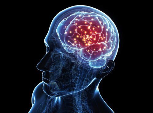 Эксперты поведали о методах улучшения работы мозга без таблеток