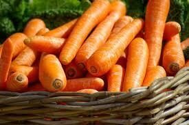 Как правильно хранить зимой морковь: лучшие и эффективные способы хранения моркови в погребе