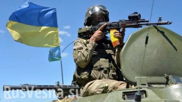 Киевские СМИ стали соучастниками преступления карателей на Донбассе (ВИДЕО)