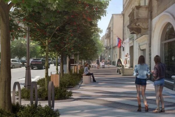 Московские архитекторы пообещали оставить севастопольцам ливанские кедры