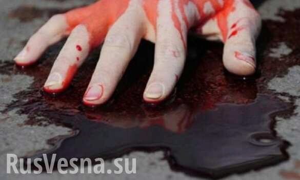 Полиция ДНР раскрыла жестокое убийство семьи (ВИДЕО)
