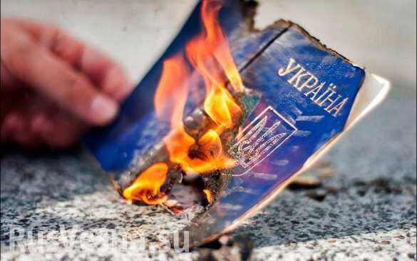 Предложение «сжечь украинский паспорт» ещё никогда не было таким актуальным…