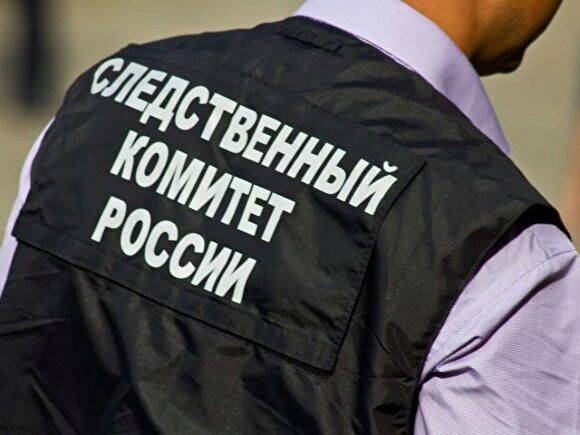 СКР: мужчина, напавший на главу ЦИК Эллу Памфилову, признал вину