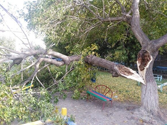 Ураган в Челябинске: сорвало кровлю с 12 зданий, повалено 39 деревьев, повреждено 12 авто