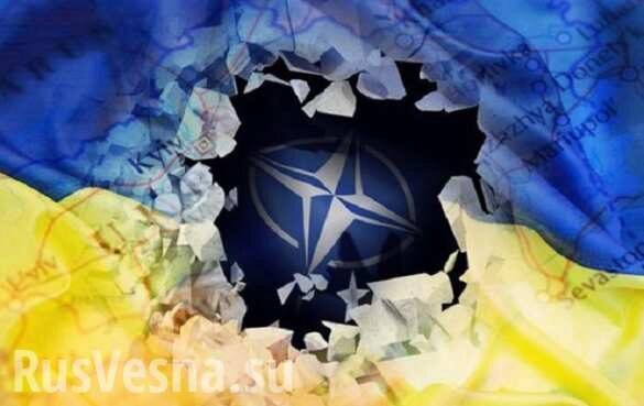 В Киеве пройдёт саммит Североатлантического совета НАТО, Зеленский приглашён