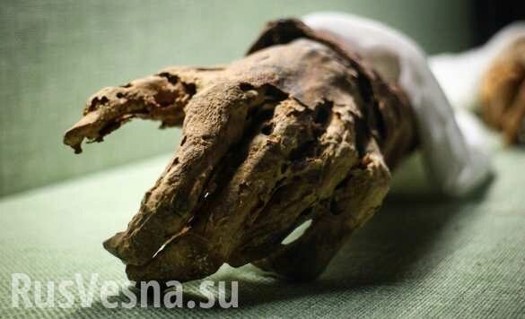 В квартире в центре Калуги нашли мумию