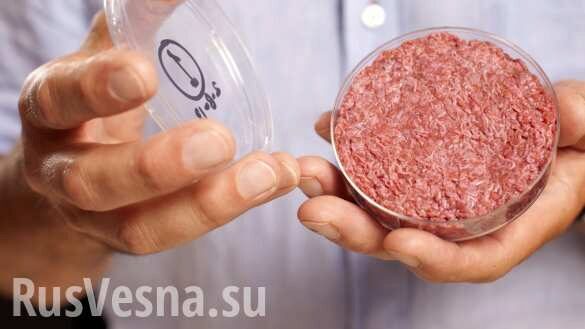 В России получили «мясо из пробирки» за 900 тыс. рублей