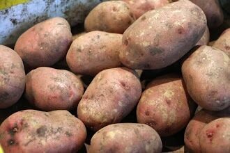 В поселке Магнитка четверо мужчин погибли от отравления продуктами гниения картофеля