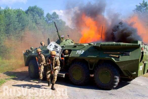 Защитники Донбасса спасли ОБСЕ от расстрела украинскими карателями: сводка с Донбасса (ВИДЕО)