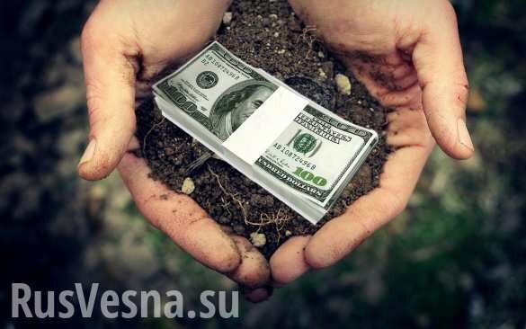 Большая распродажа Украины начинается: как будут выживать миллионы людей? (ВИДЕО)