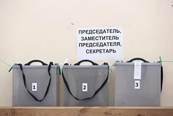 Четыре муниципальных избиркома в Петербурге могут расформировать по суду по итогам выборов