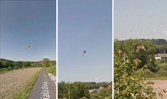 Google Карты пугают пользователей странными снимками «на грани»