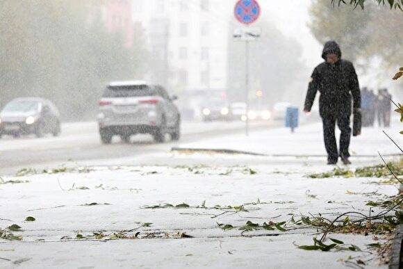 МЧС предупреждает о мокром снеге, гололеде и сильном ветре в Тюменской области
