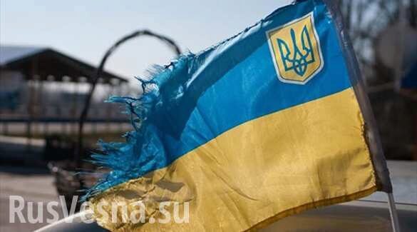 Особый статус уничтожит Украину, но Киев готовит план «Б»