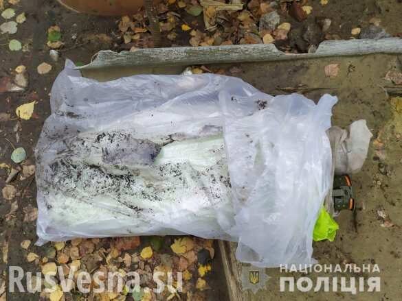 Подросток в Сумской области нашёл тайник с боевыми «трофеями» из зоны «ООС» (ФОТО)