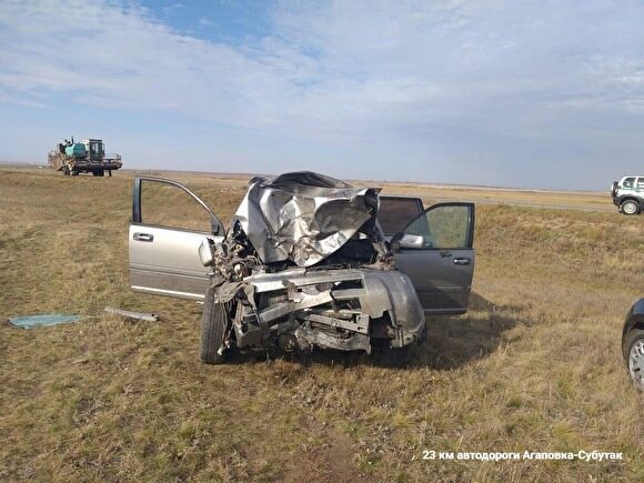 В Челябинской области пьяный водитель врезался в стадо коров
