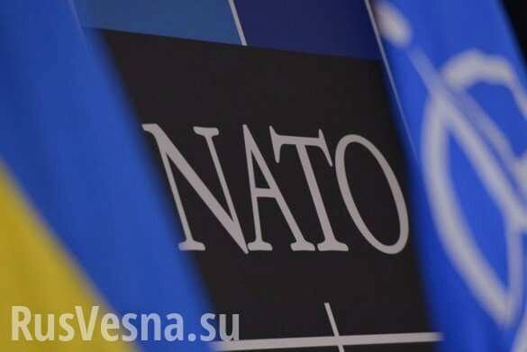 Зрада за зрадой: НАТО полностью поддерживает «формулу Штайнмайера»
