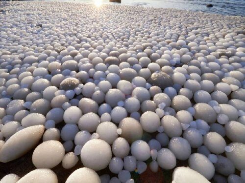 Берег Балтийского моря усеяли странные «ледяные яйца»