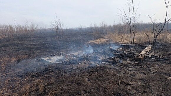 Департамент лесного хозяйства УрФО назвал основную причину лесных пожаров в Зауралье