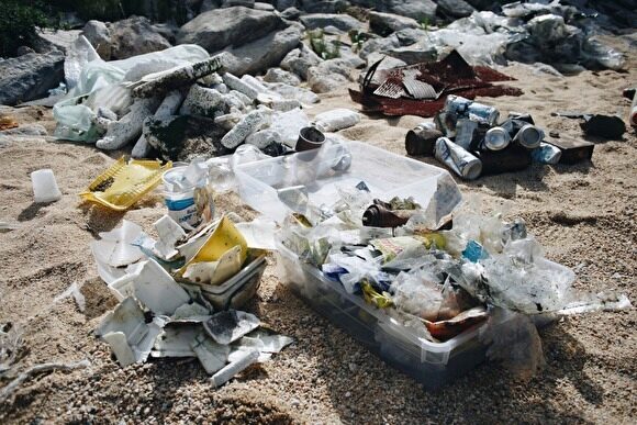 Экологи из Greenpeace запустили петицию о запрете одноразового пластика в России