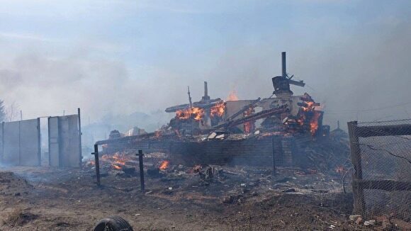 Подсчитан ущерб от лесных пожаров в Зауралье в этом году: он самый большой в УрФО