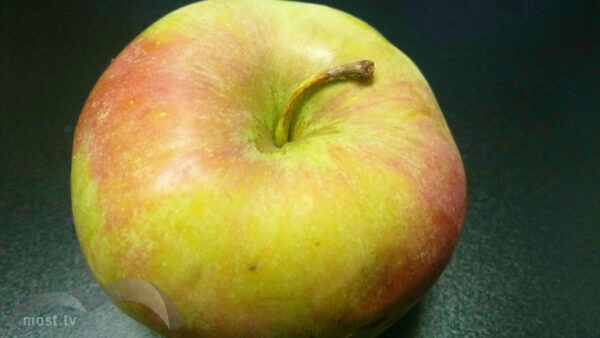 Покупатель яблок неожиданно стал потерпевшим сразу по трем статьям