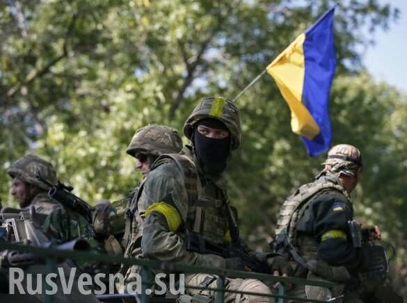 Разведение сил на Донбассе: В ДНР посоветовали западным политикам внимательно читать Минские соглашения