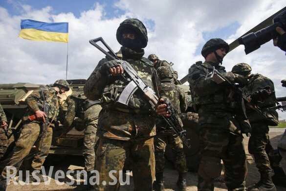 Разведение сил: в ОБСЕ «послушали» ДНР, на Украине в ярости
